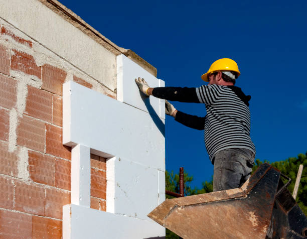Best Insulation Installation Services in Lake Los Angeles, CA