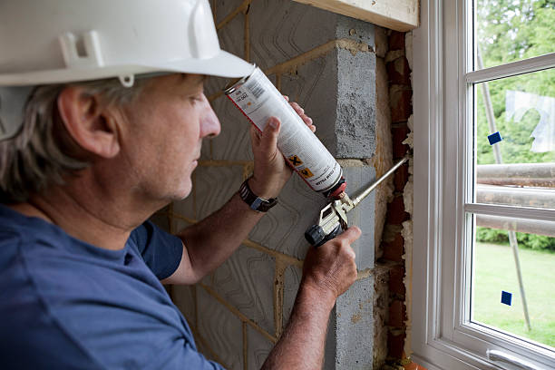 Best Types of Insulation in Lake Los Angeles, CA