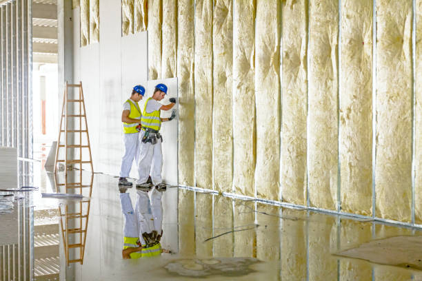 Best Commercial Insulation in Lake Los Angeles, CA